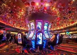 lider55 live tennis odds display on mobile interface
